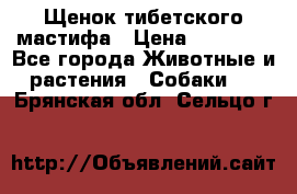 Щенок тибетского мастифа › Цена ­ 60 000 - Все города Животные и растения » Собаки   . Брянская обл.,Сельцо г.